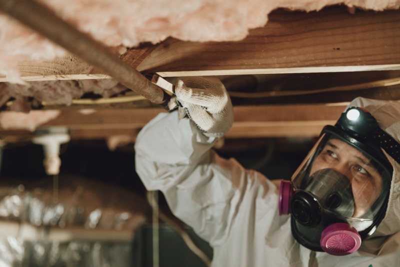 Technician inspecting a crawl space during mold remediation