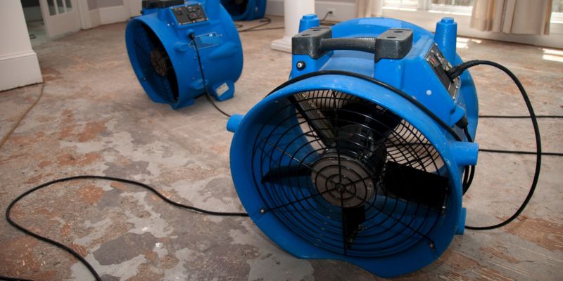 5 Things to Keep an Eye Out for With Flood Damage